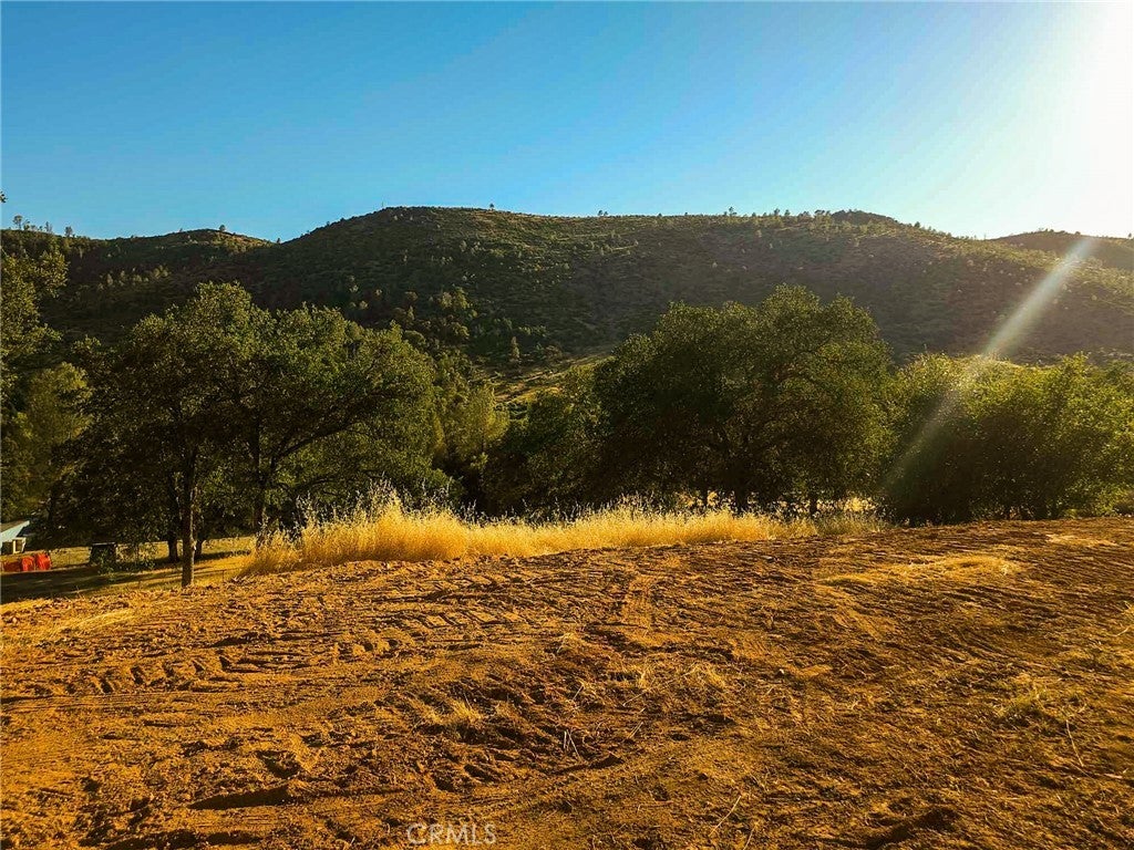 Photo of Listing #MP24135399