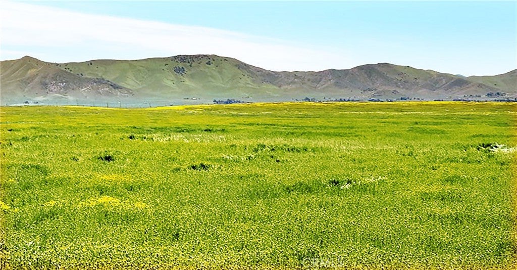 Photo of Listing #PI24136791