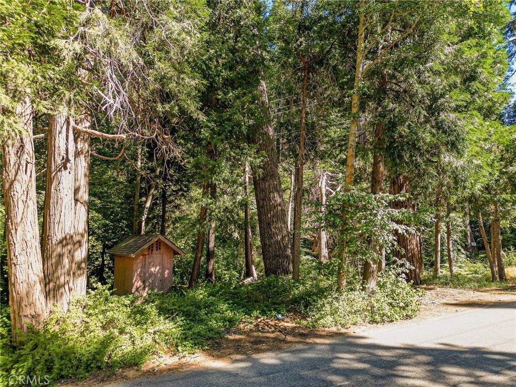 Cottage Grove Road, Lake Arrowhead