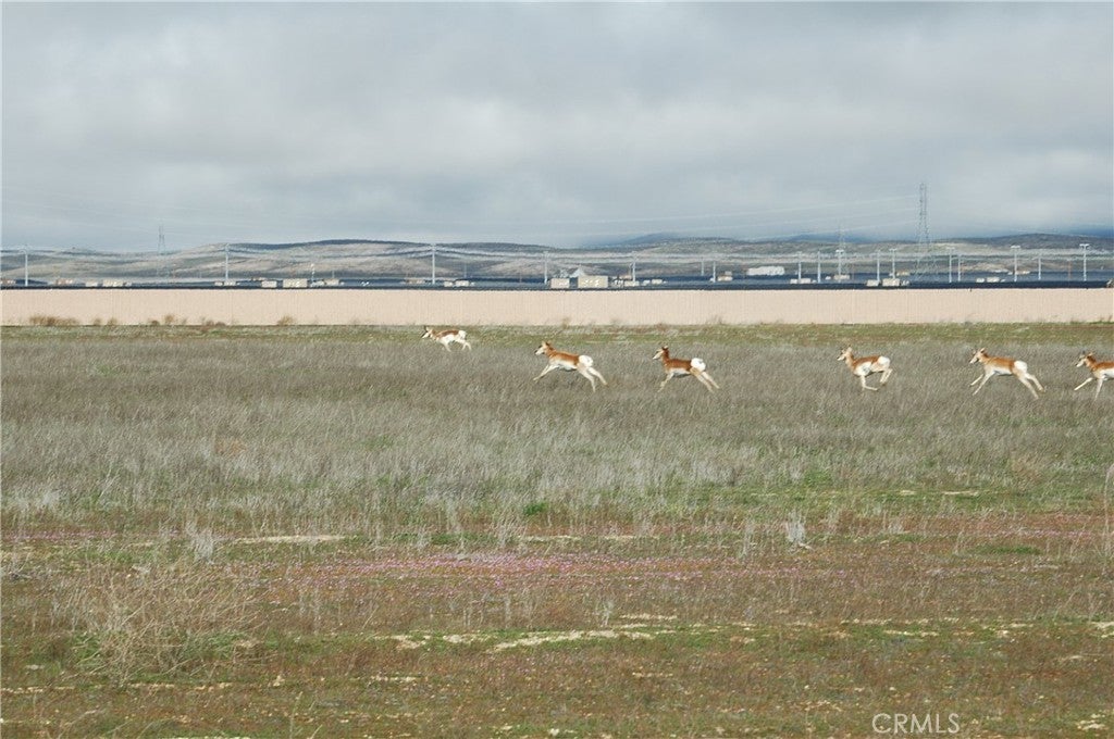 Photo of Listing #NS24145149