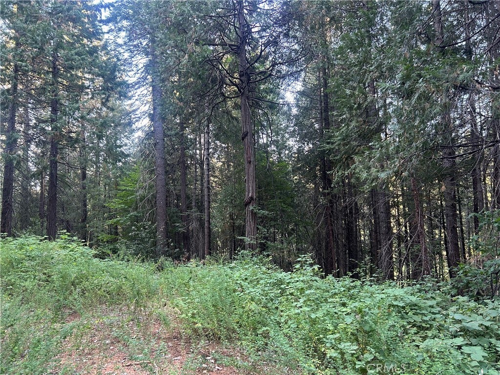 Photo of Listing #PA24150895