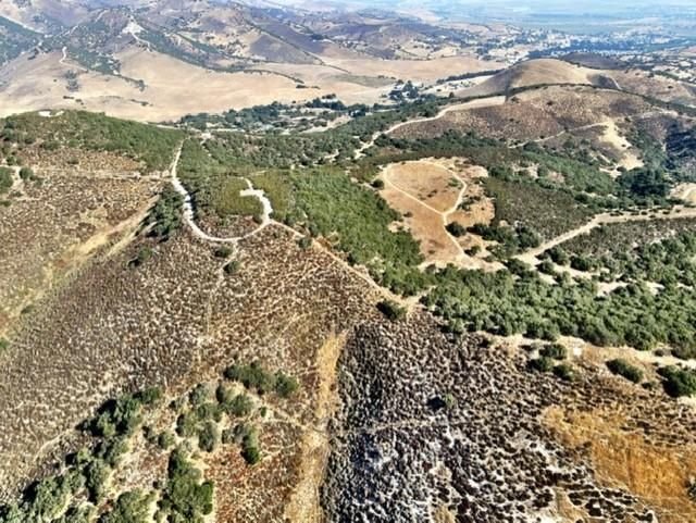 Pine Canyon Road, King City