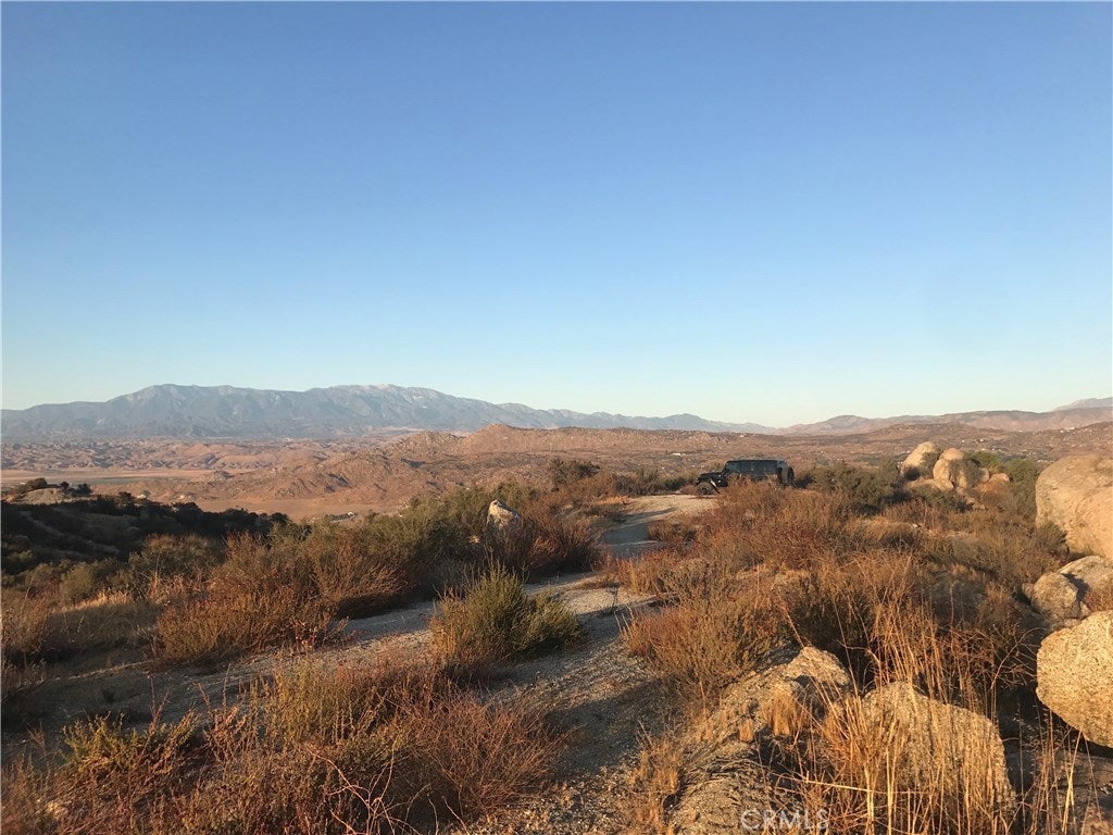 21 Polley, Nuevo/Lakeview