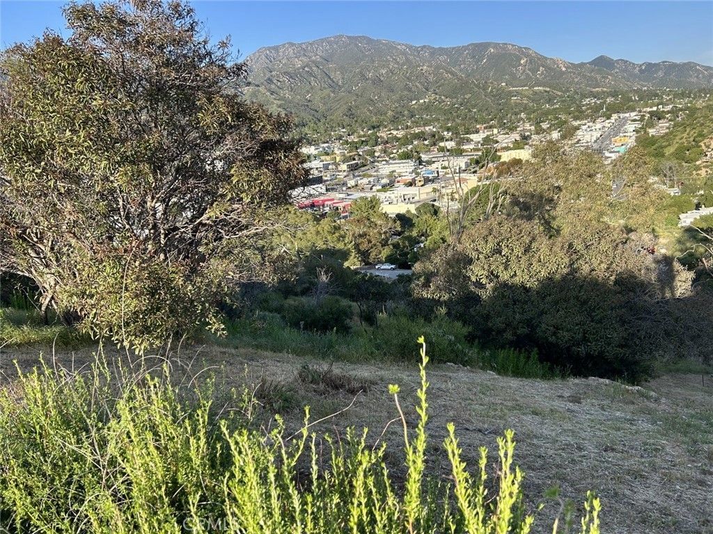 9832 High Top Drive, Tujunga