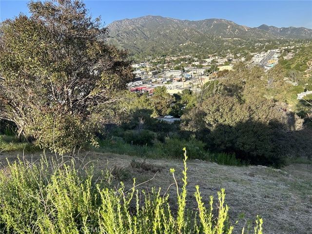 9832 High Top Drive, Tujunga