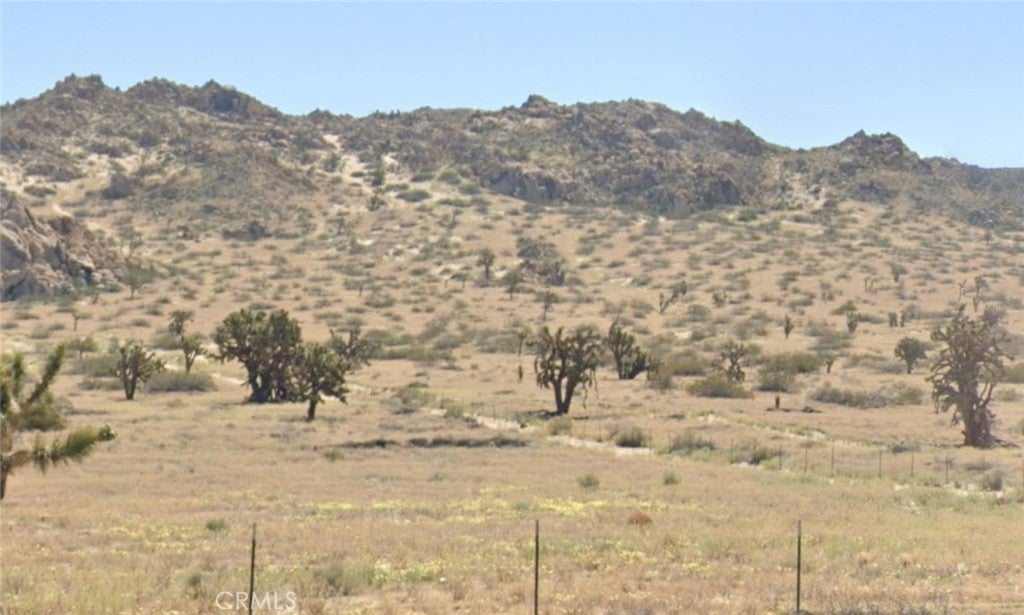 Photo of Listing #SR24165936