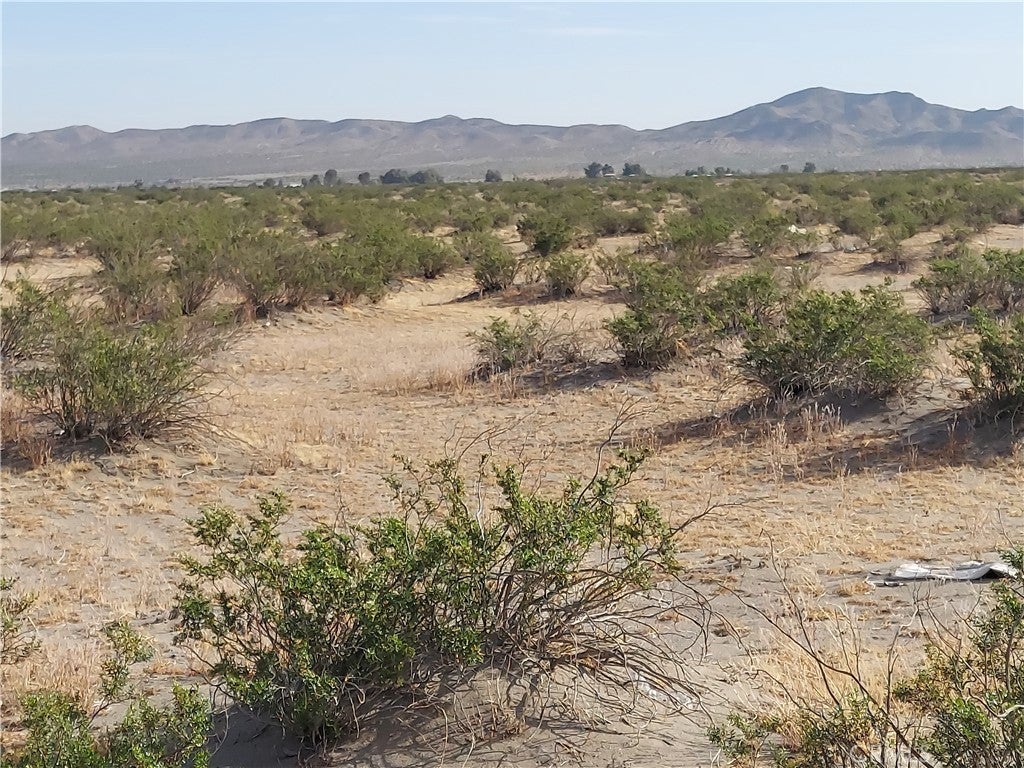 Bookasta St, El Mirage