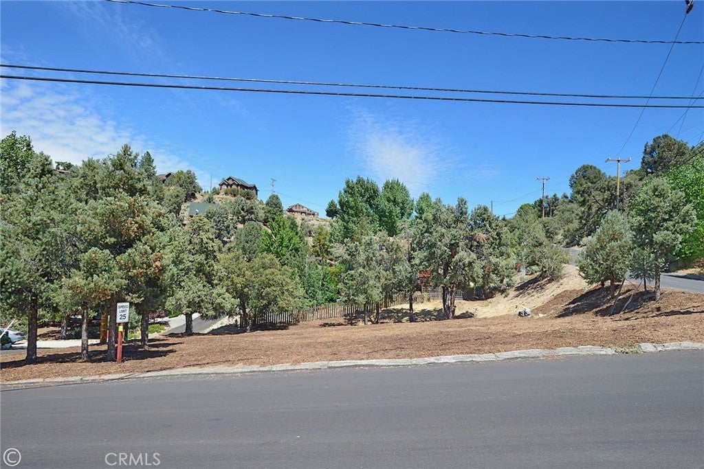 Photo of Listing #SR24179270