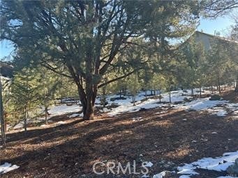 Photo of Listing #SR24180523