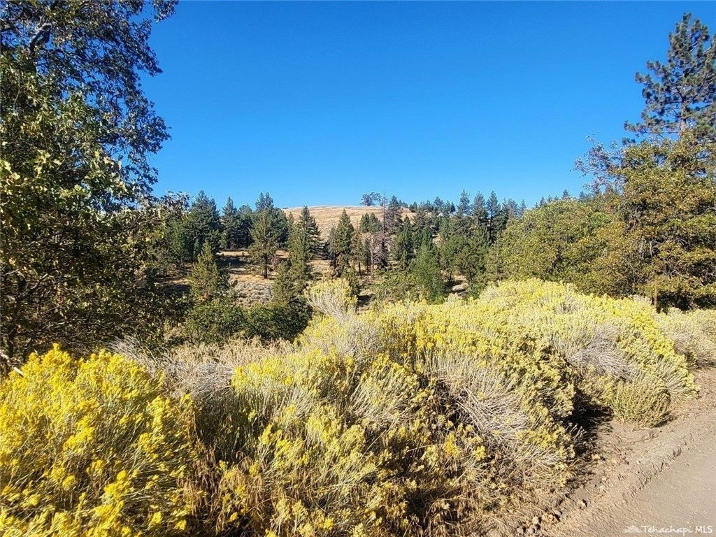 16851 Interlaken Street, Tehachapi