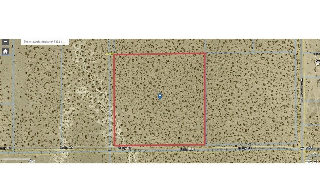 Holly Street, Phelan