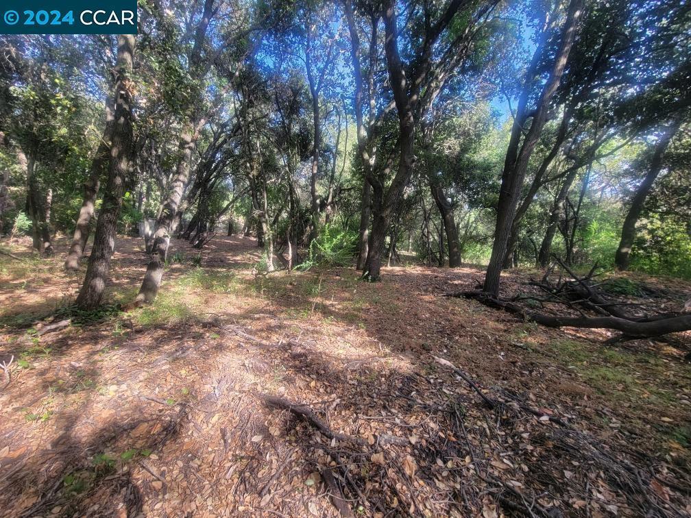 2900 Lomitas, Santa Rosa CA Santa Rosa Lots/Land Homes For Sale