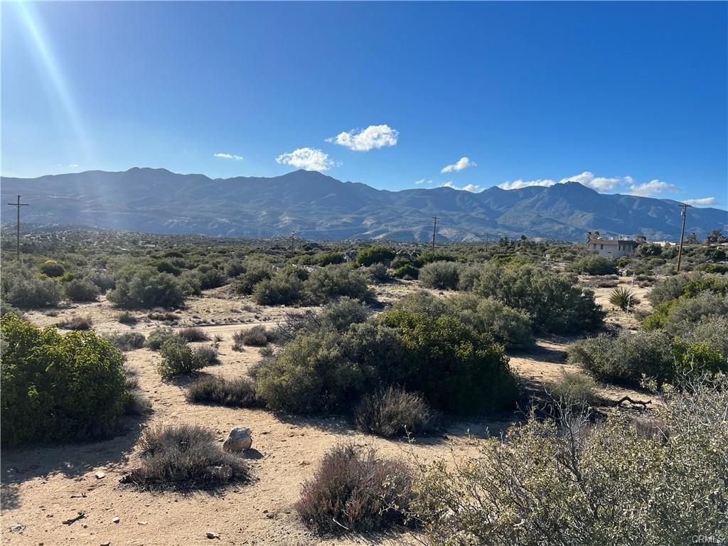 Locarno Heights, Mountain Center CA Mountain Center Lots/Land Homes