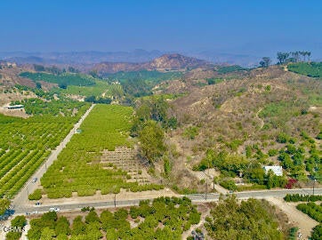 Photo of Listing #V1-25624