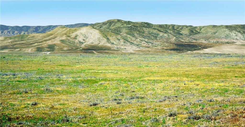 Photo of Listing #PI24188309