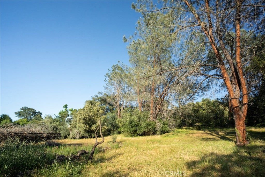 Photo of Listing #OR24190779