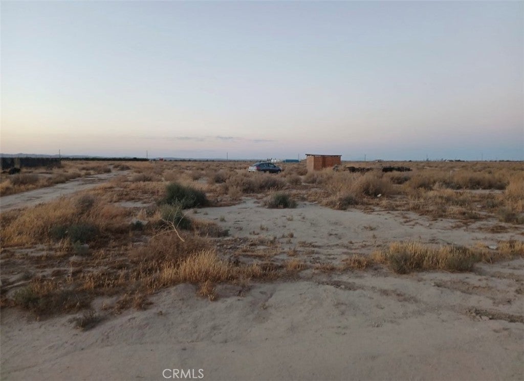 Photo of Listing #DW24191331