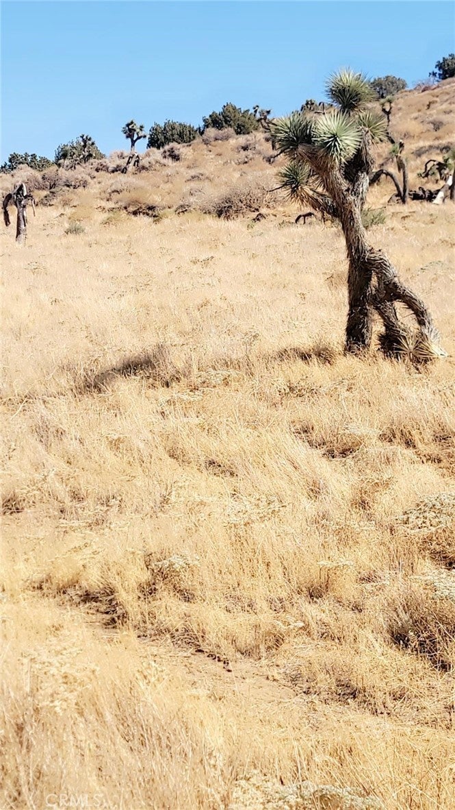 Photo of Listing #PW24197213