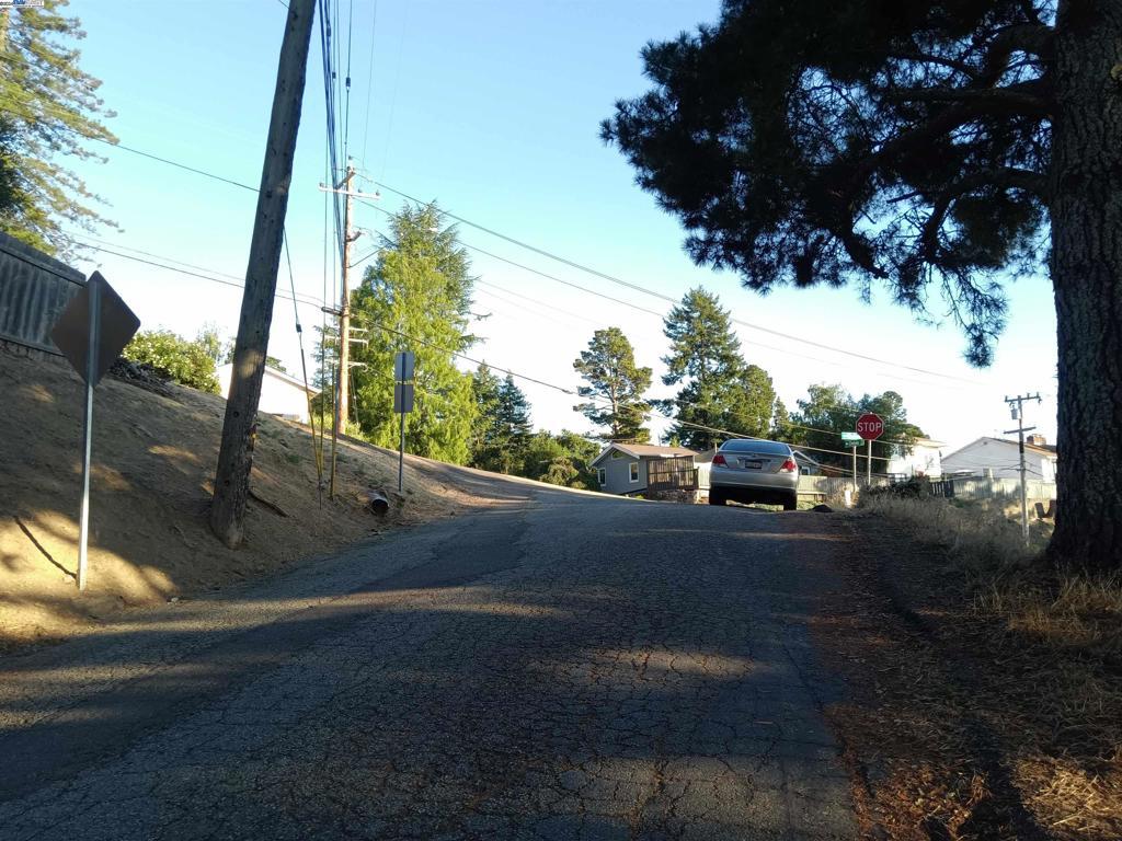 Photo of Listing #41074138