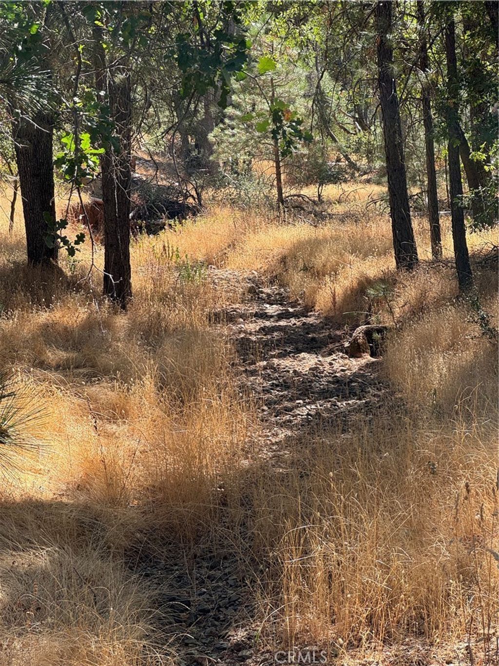 5718 E Whitlock Road, Mariposa