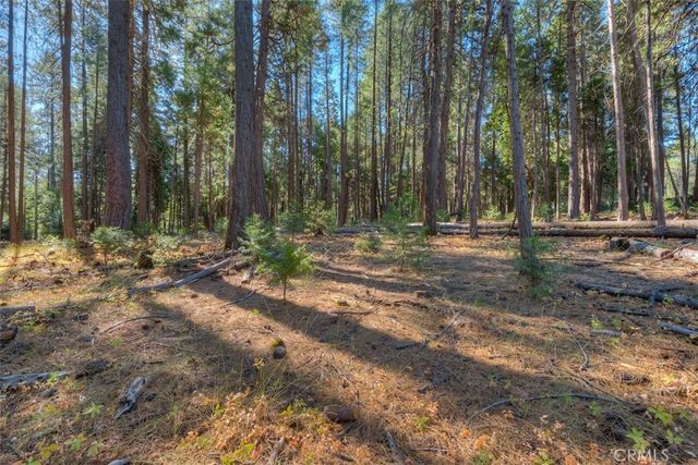 Fern Glenn Way, Magalia