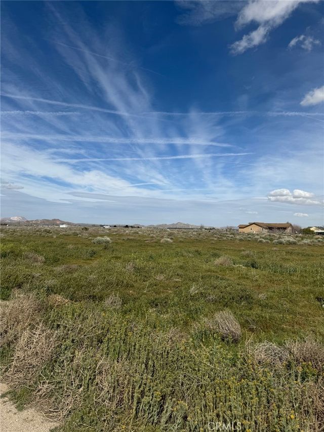 Elder Avenue, Rosamond