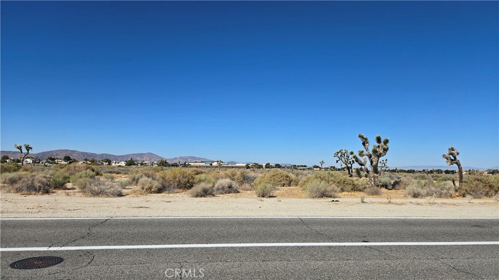 Photo of Listing #SR24201397
