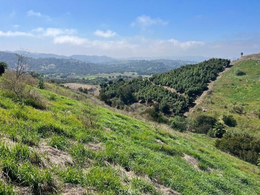 Photo of Listing #SW24204555