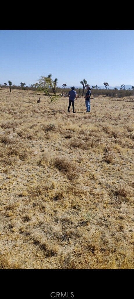 Photo of Listing #IV24207397