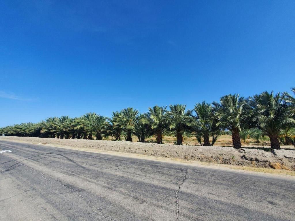 Calhoun Street, Coachella