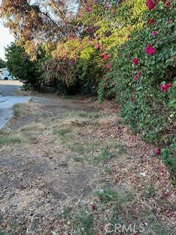 Photo of Listing #CV24203089