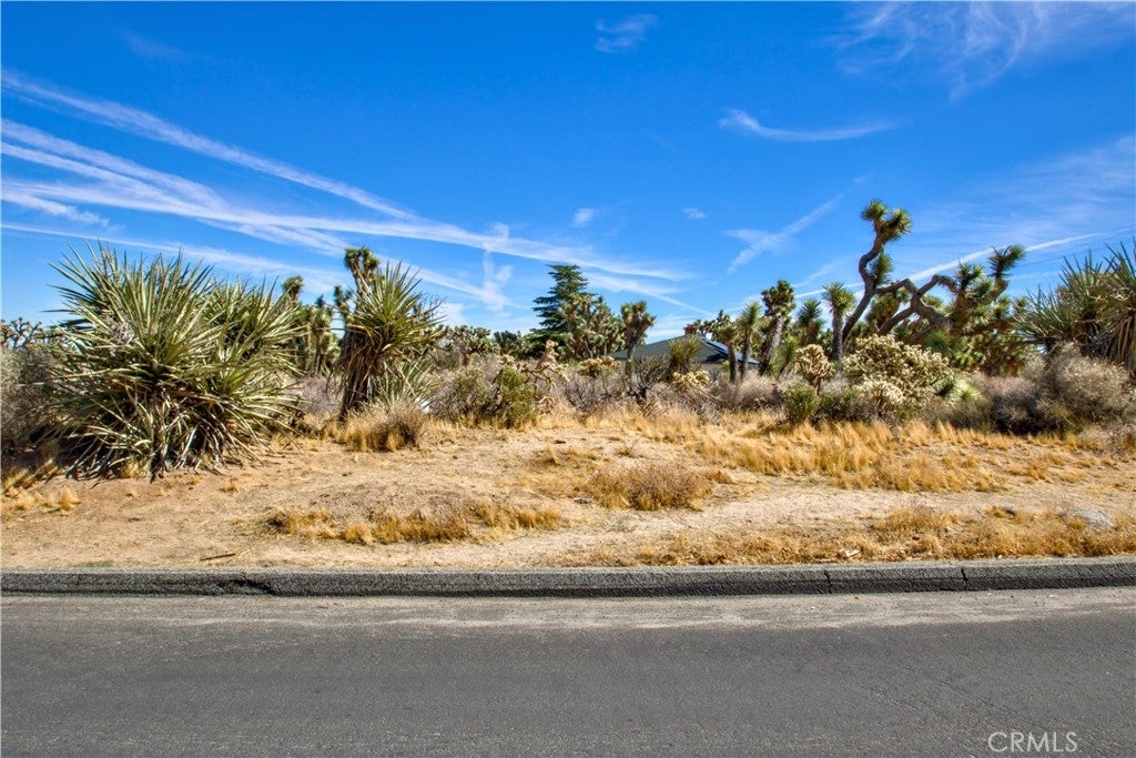 25 Lot 25 Joshua Drive, Yucca Valley CA Yucca Valley Lots/Land Homes