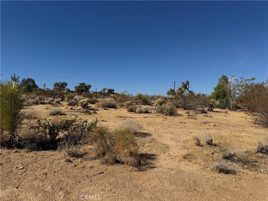 Photo of Listing #JT24214164