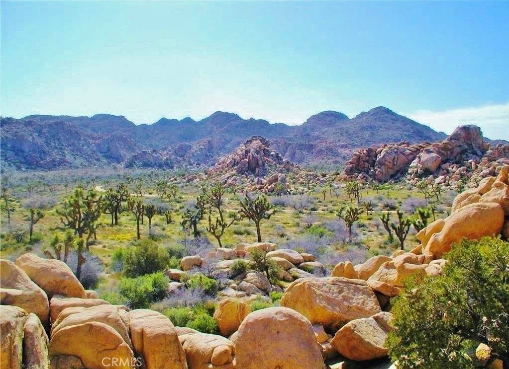 Photo of Listing #OC24214372