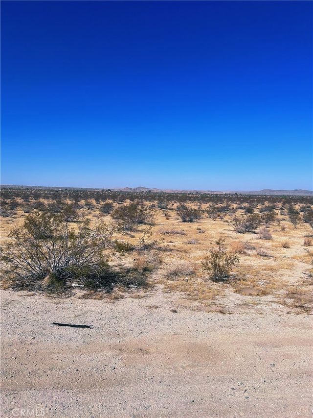 29 Palms Highway, Joshua Tree