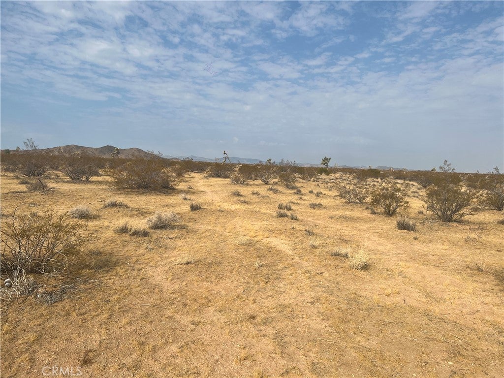 Photo of Listing #IV24221473