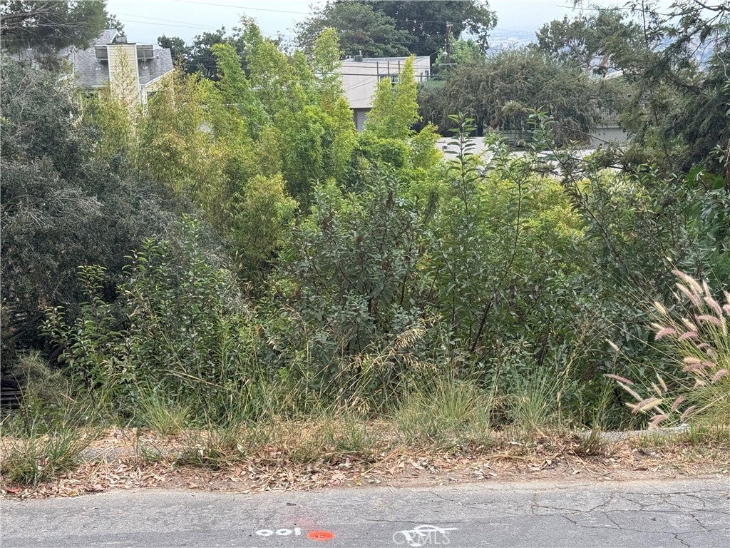 Photo of Listing #SR24224706