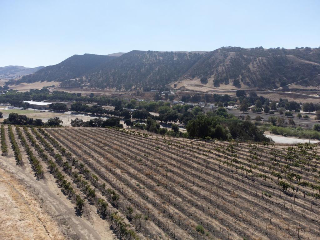 Photo of Listing #ML81985445