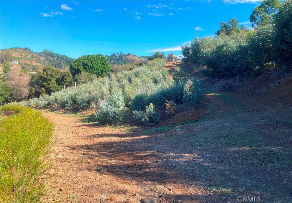 Photo of Listing #SW24226307