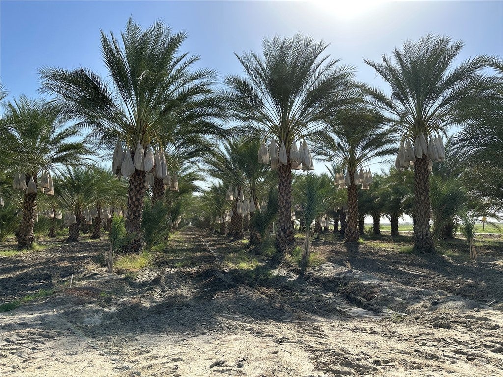 Photo of Listing #SR24226463