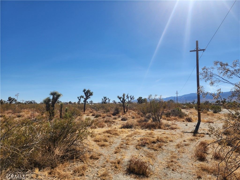 Colorado Road, Pinon Hills