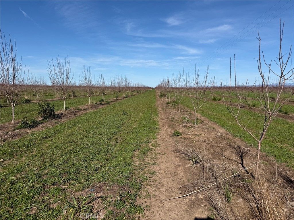 Cana Highway, Chico