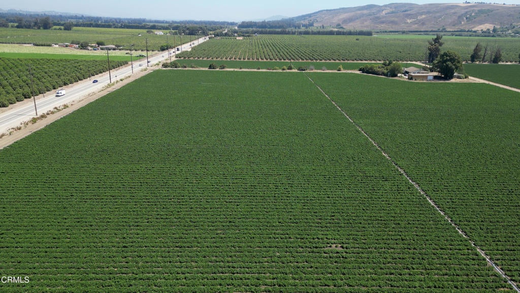 Photo of Listing #V1-26649