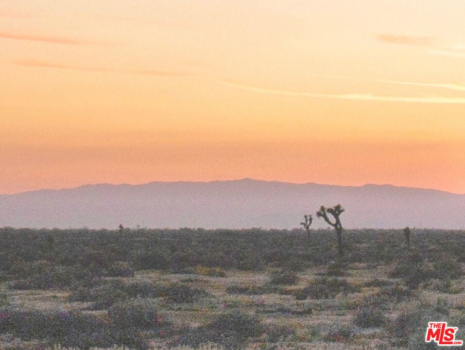 Photo of Listing #24463299