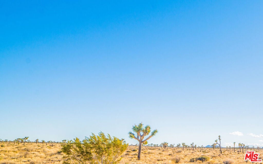 Photo of Listing #24463373