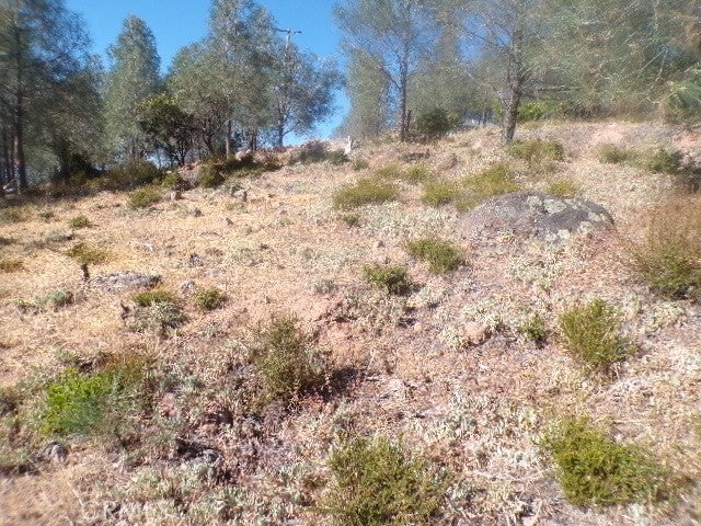 Photo of Listing #LC24238294