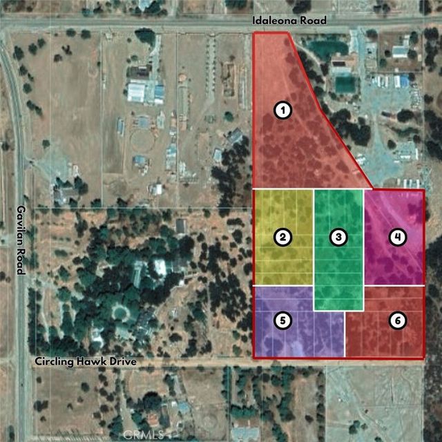 17477 Circling Hawk/idaleona, Perris
