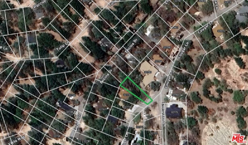 Photo of Listing #24466469