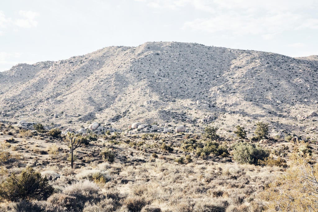 Gilhouse Lane, Pioneertown