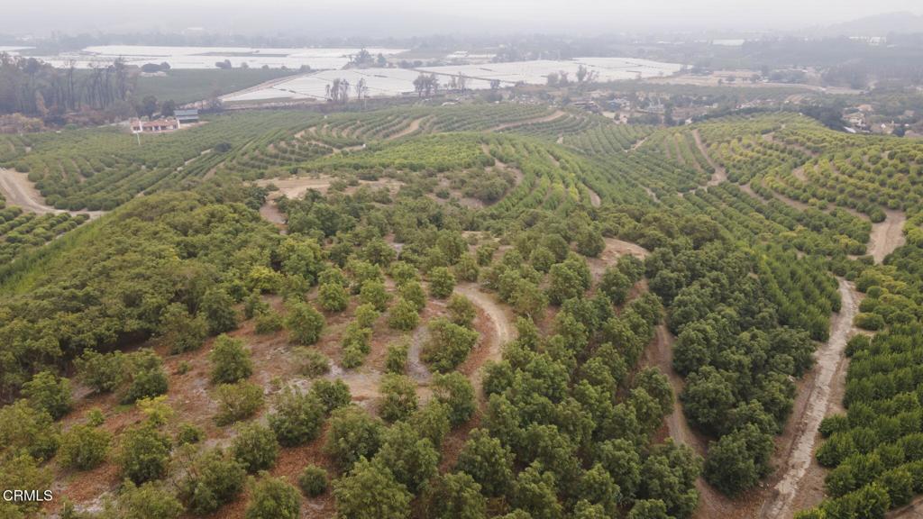 Photo of Listing #V1-26950